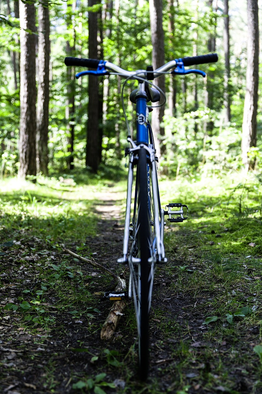 road bike vintage bike free photo