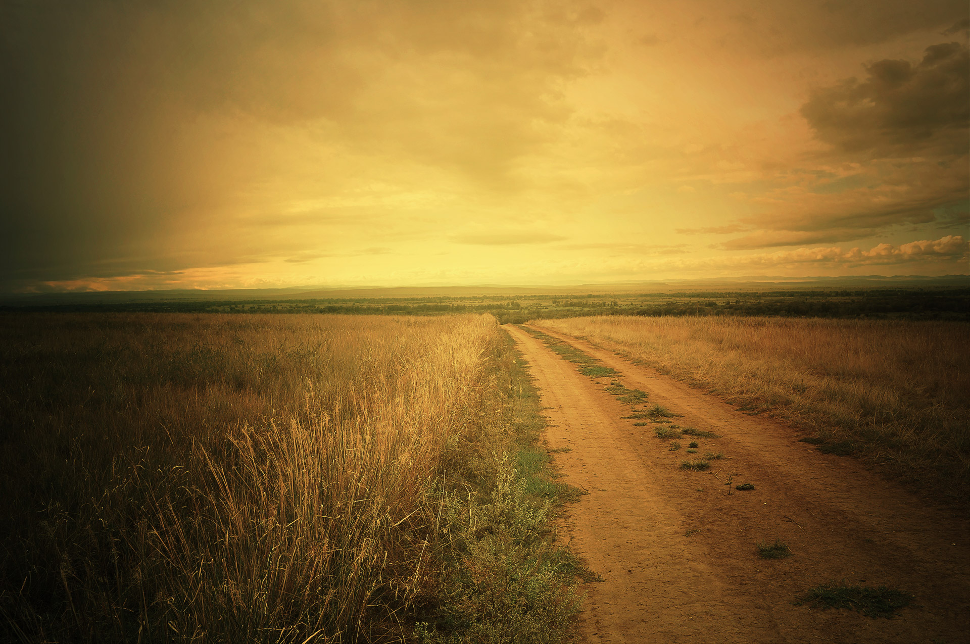 road field sky free photo