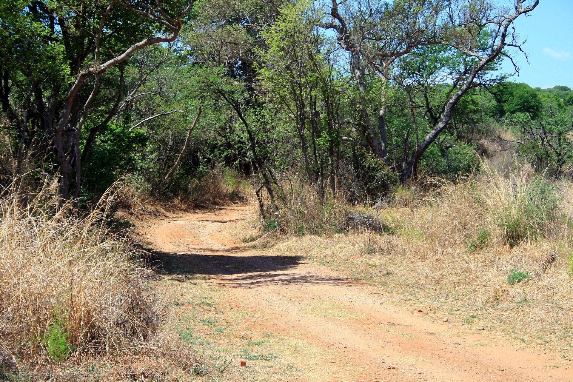 road dirt sand free photo