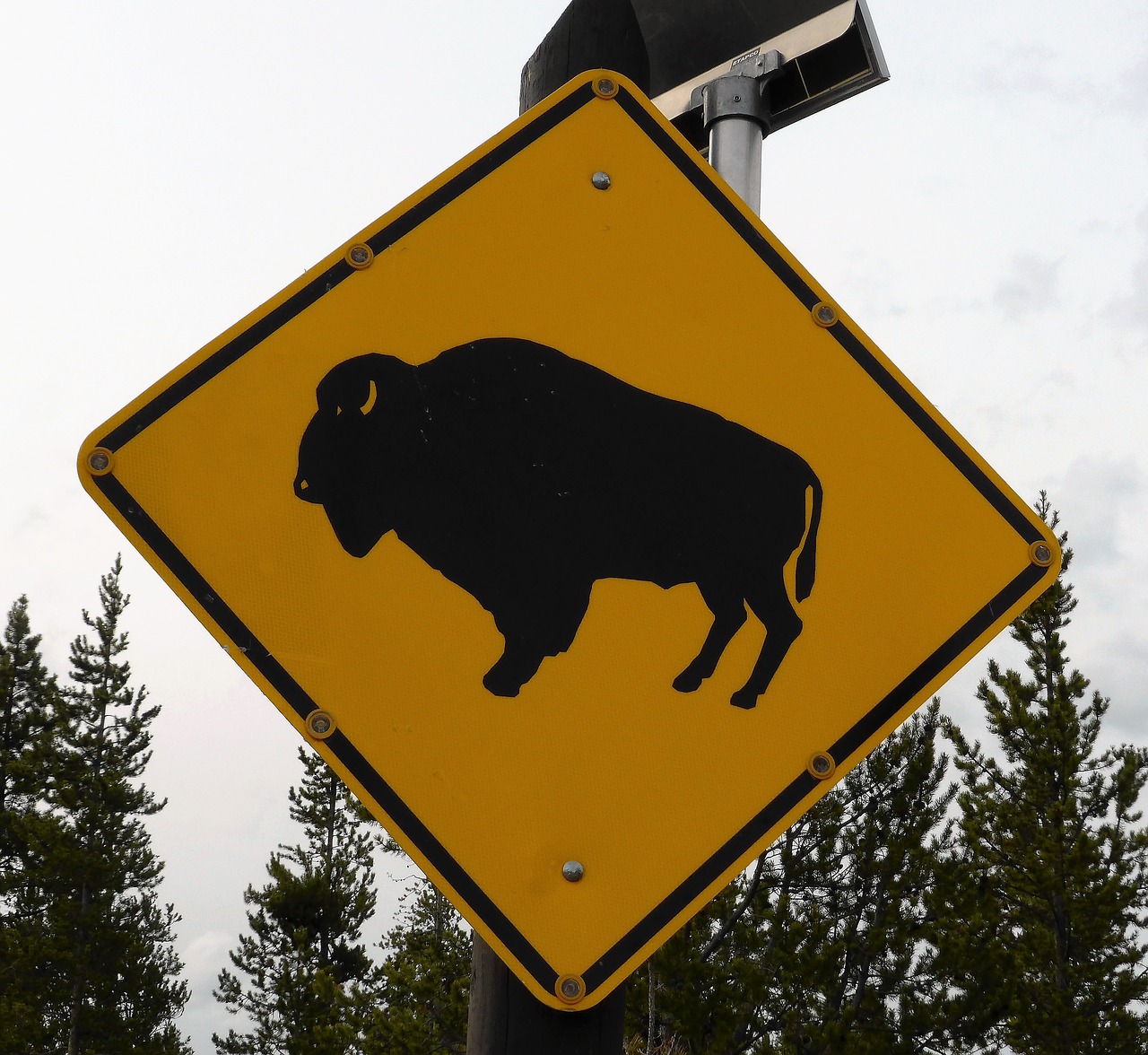 road sign bison yellow free photo