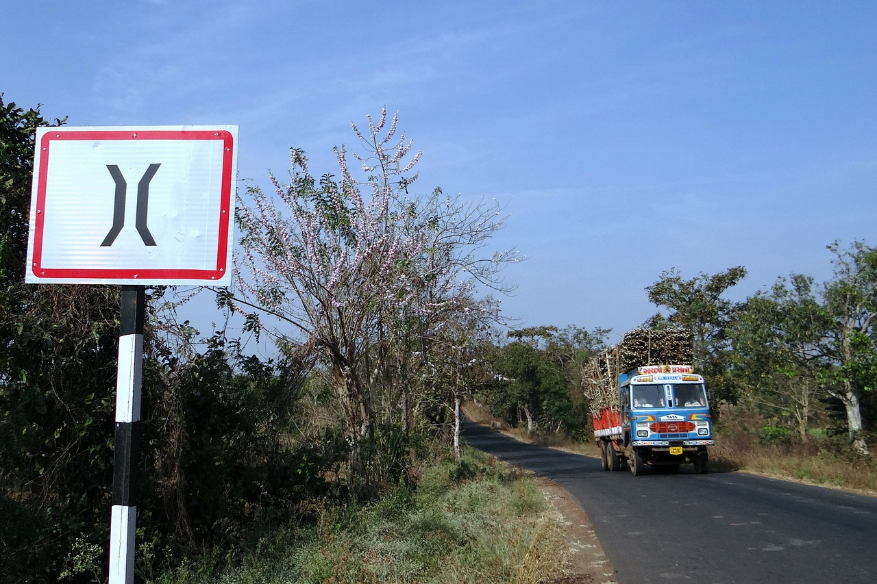 road sign roadsign forest free photo