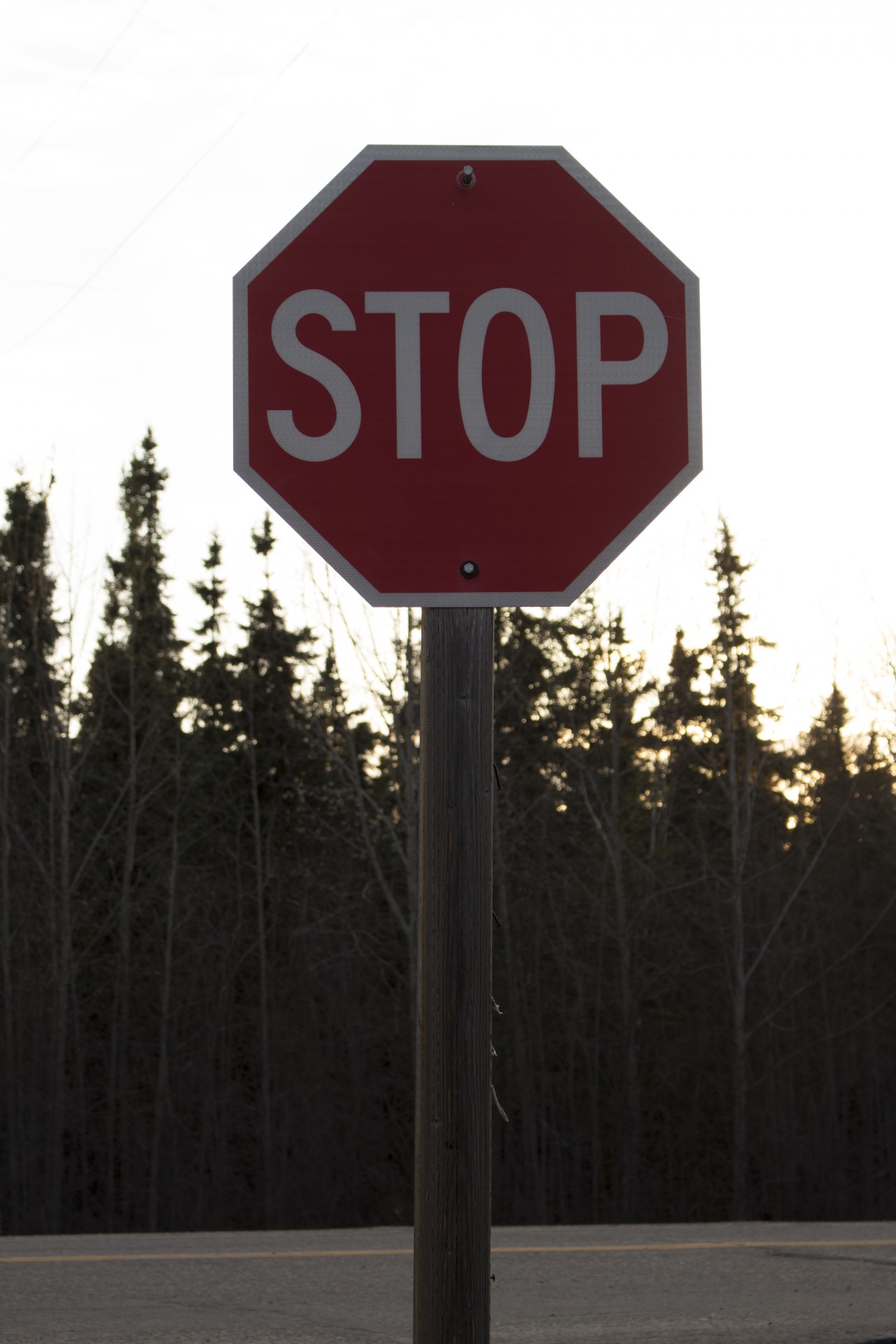 road stop sign free photo