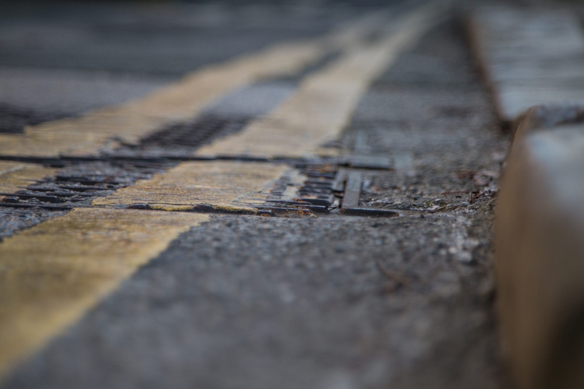 abstract asphalt avenue free photo