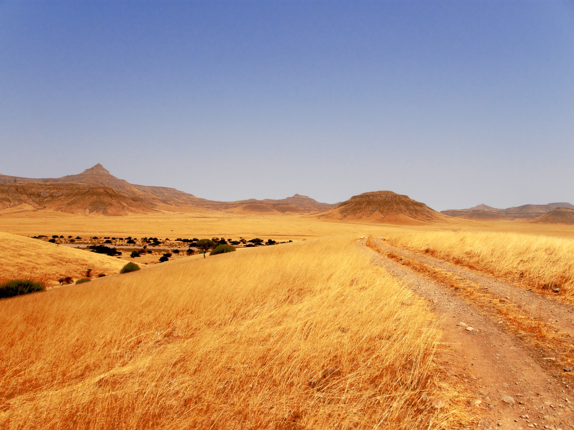 grasslands track stony free photo