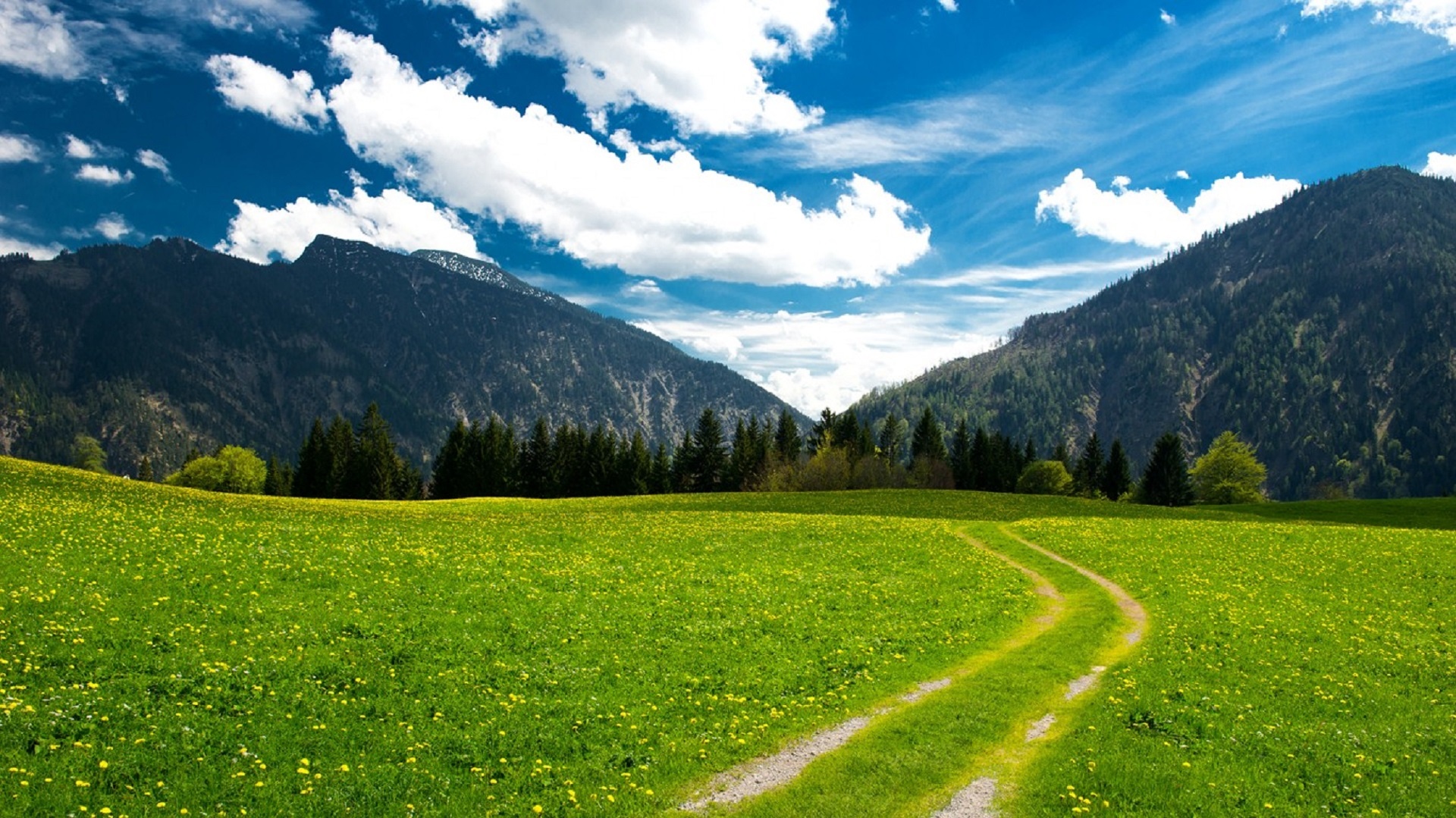 road lane meadow free photo