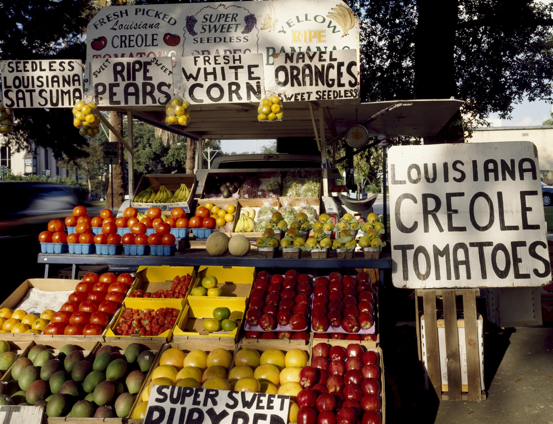 harvest vegetable fruit free photo