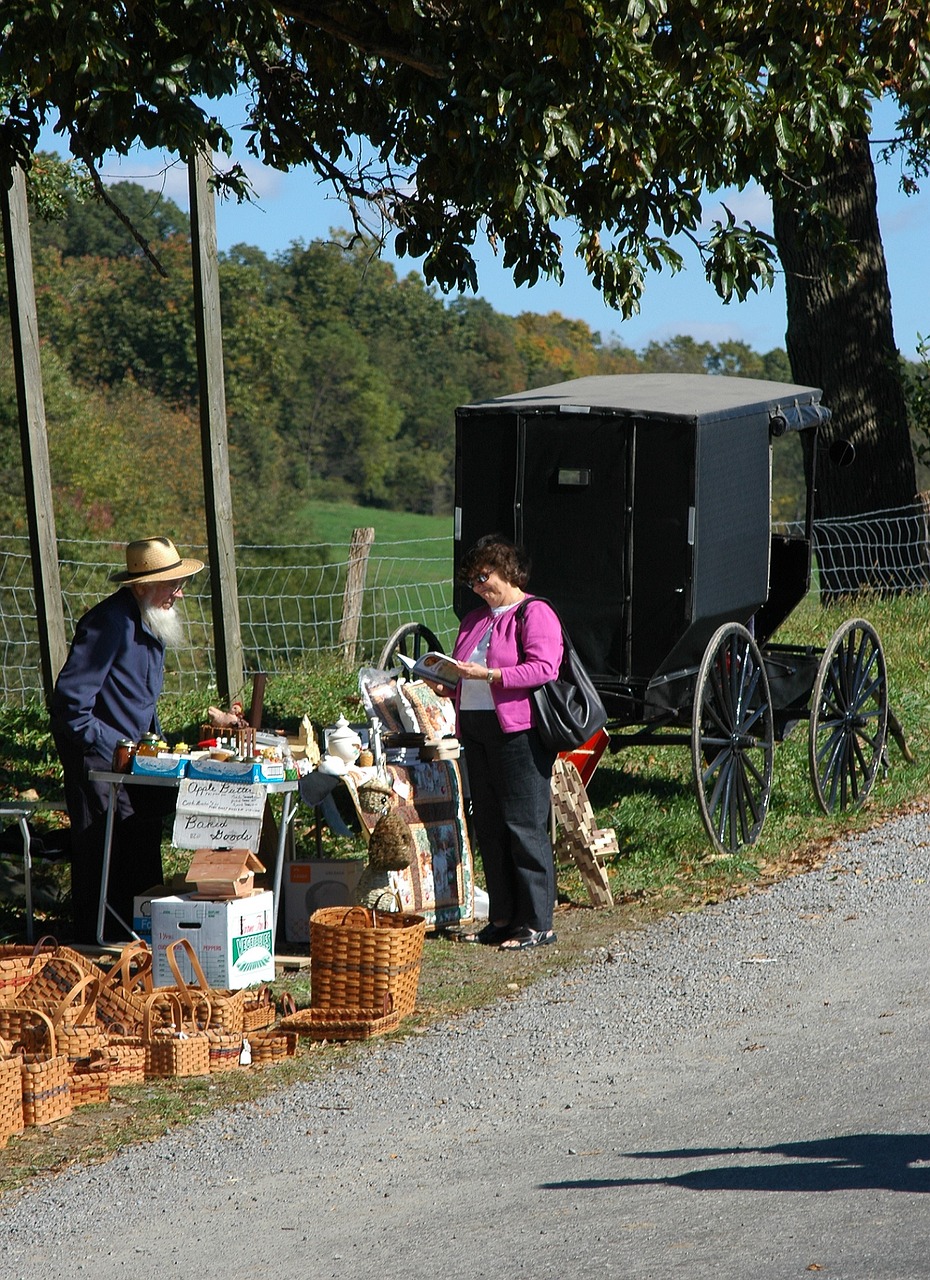 roadside seller buggy country free photo