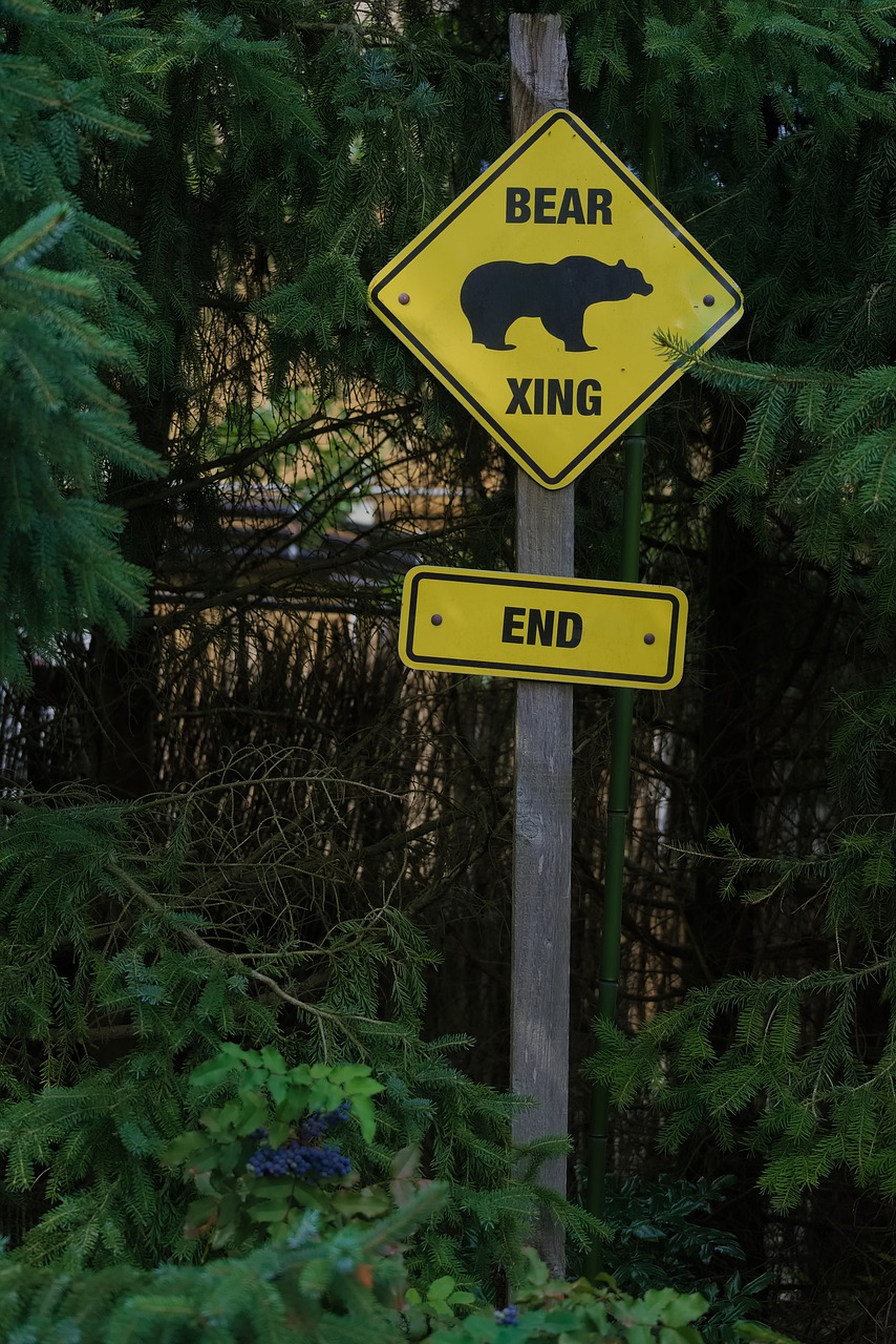 roadsign bears xing sign free photo