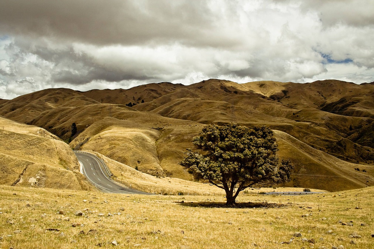 roadway countryside beautiful landscape free photo