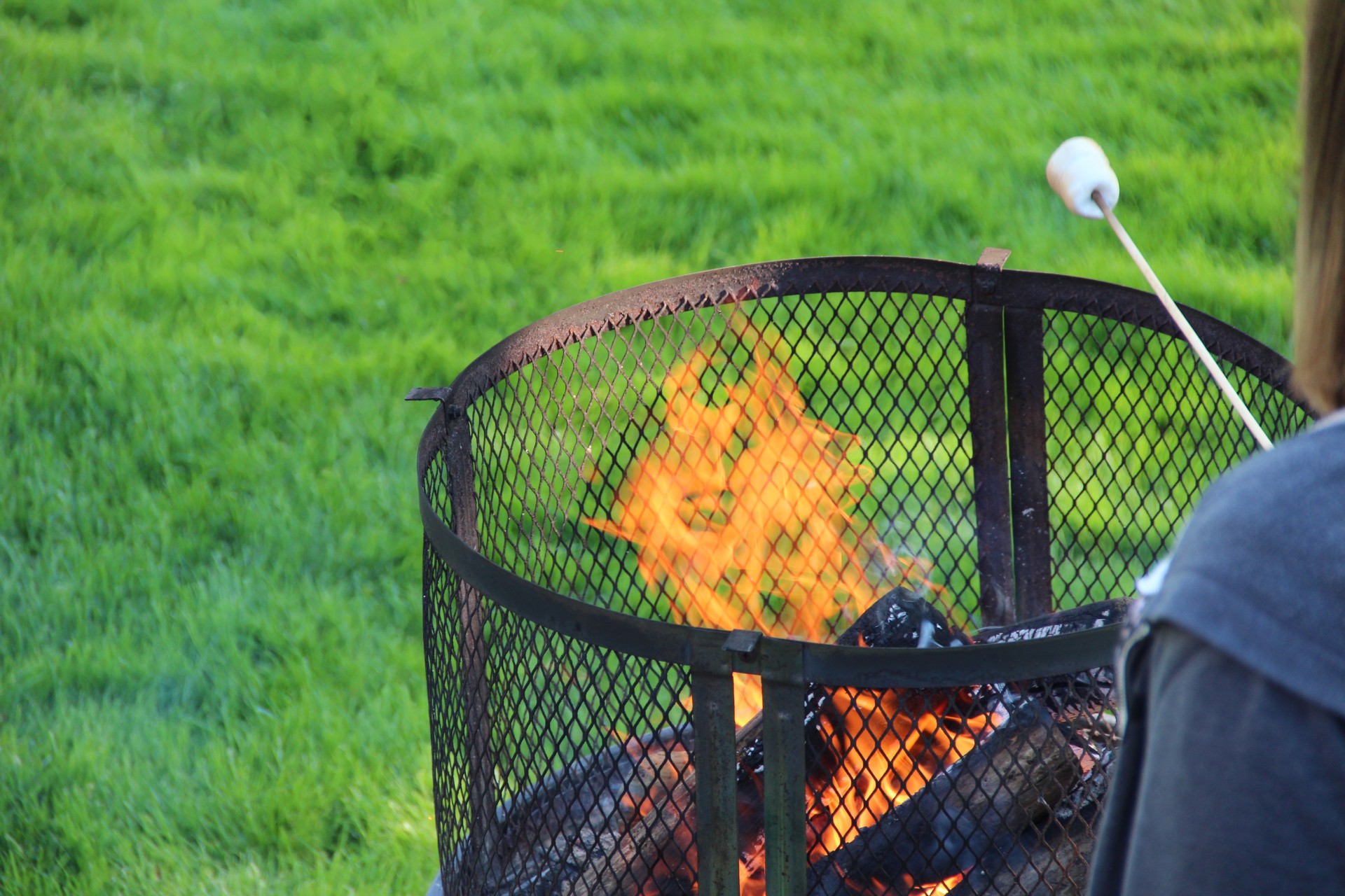 marshmallow fire firepit free photo
