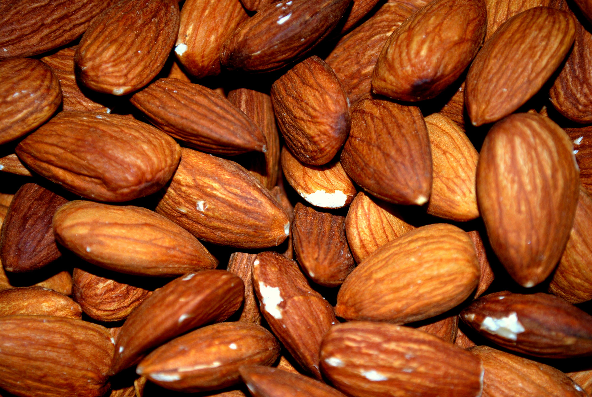 almond almonds roasted free photo