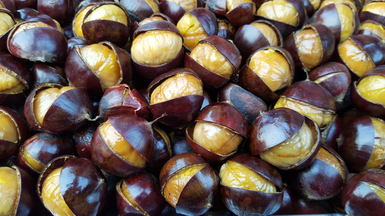 roasted chestnuts chesnuts fresh chestnuts free photo