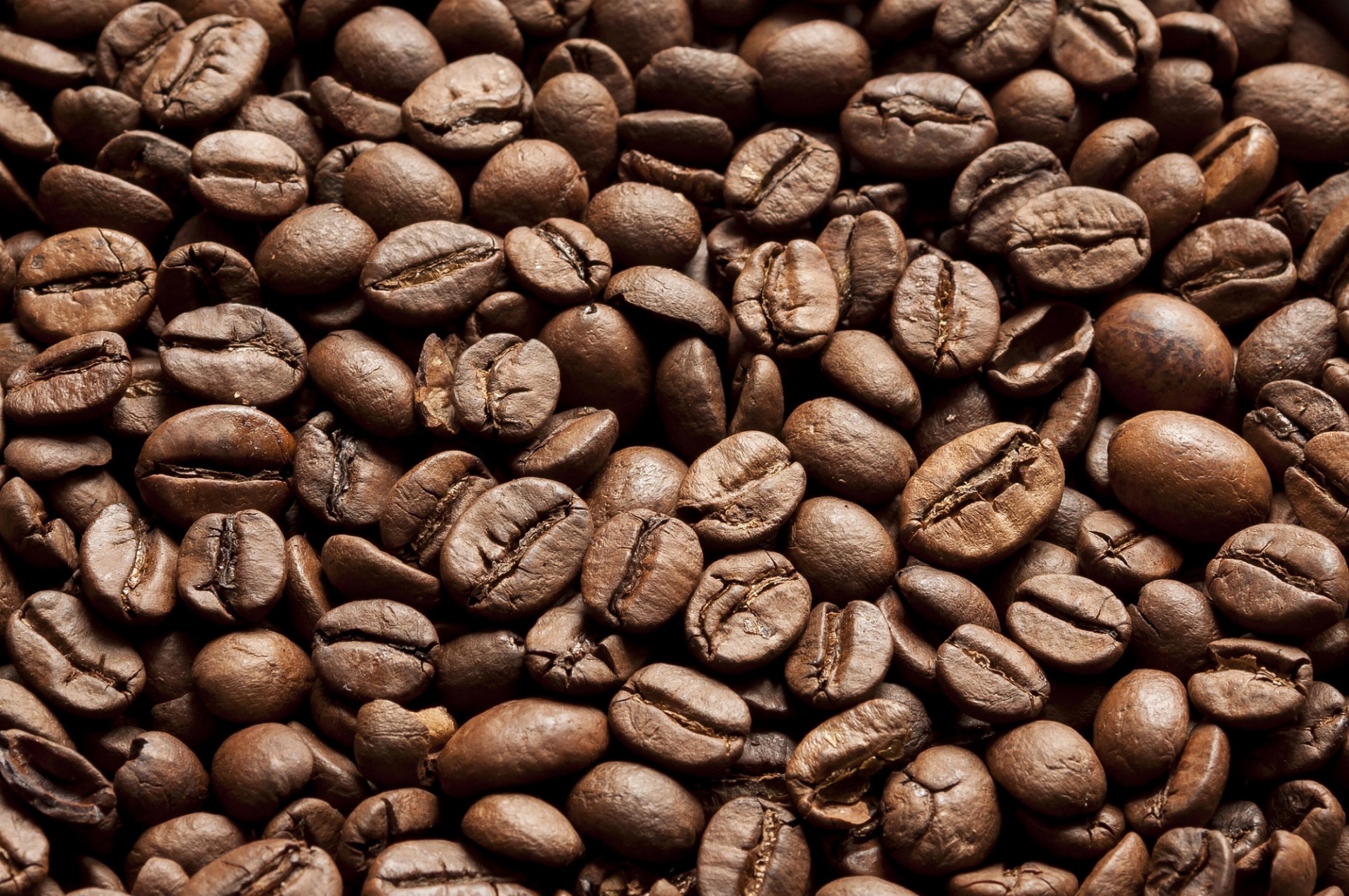 coffee beans roasted brown free photo
