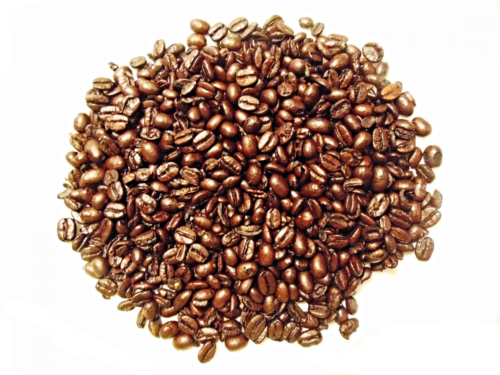 coffee beans roasted brown free photo