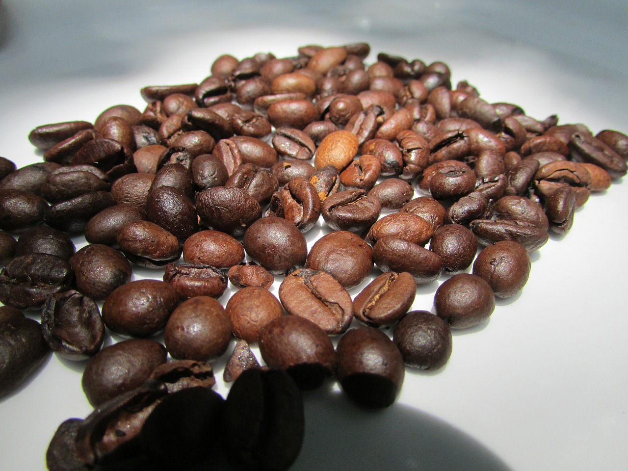 roasted coffee beans dharwad india free photo