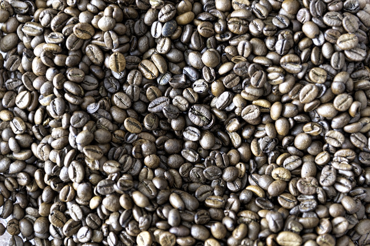 roasted coffee beans  java beans  rich flavour free photo