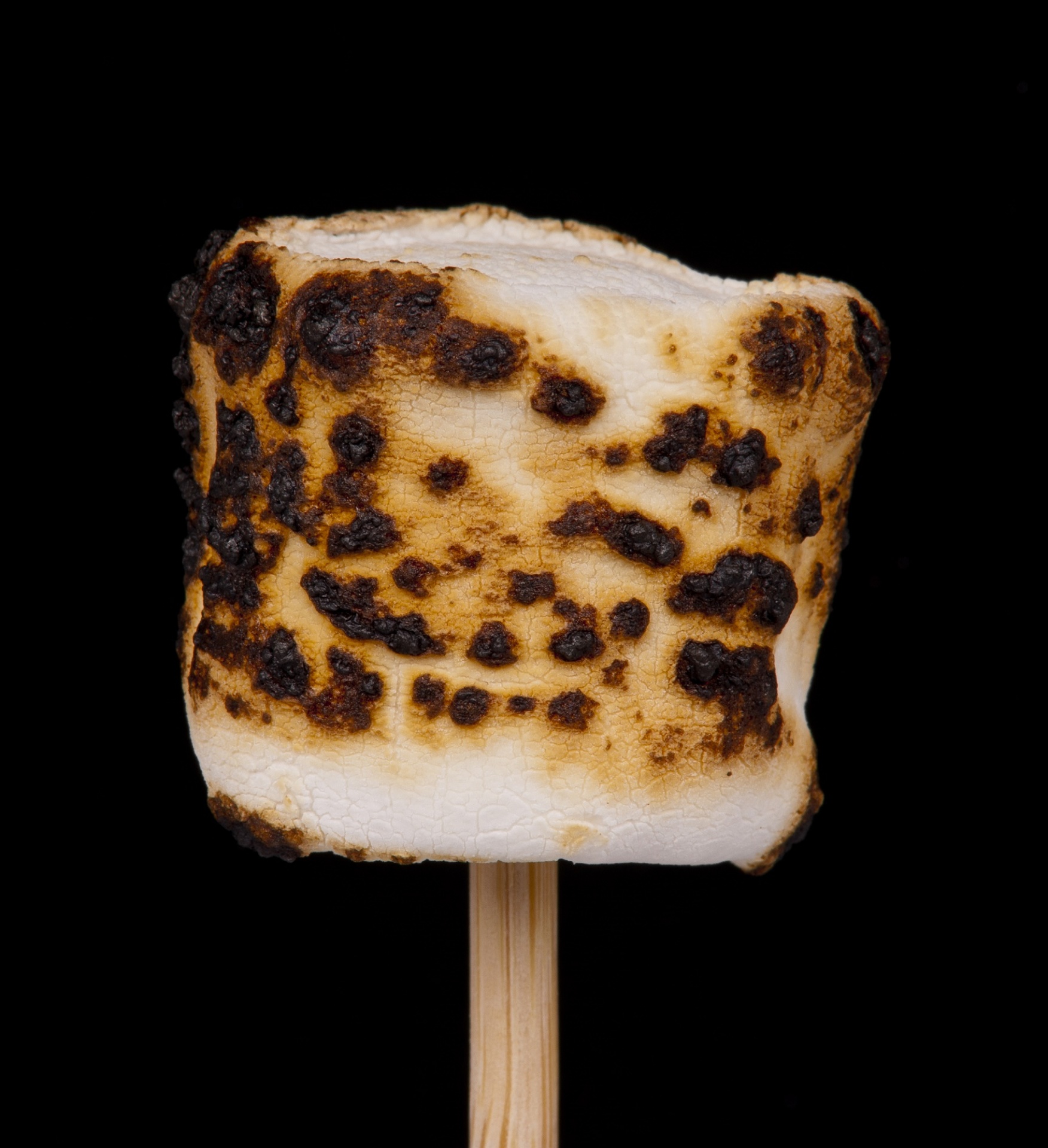 marshmallow roasted fire free photo