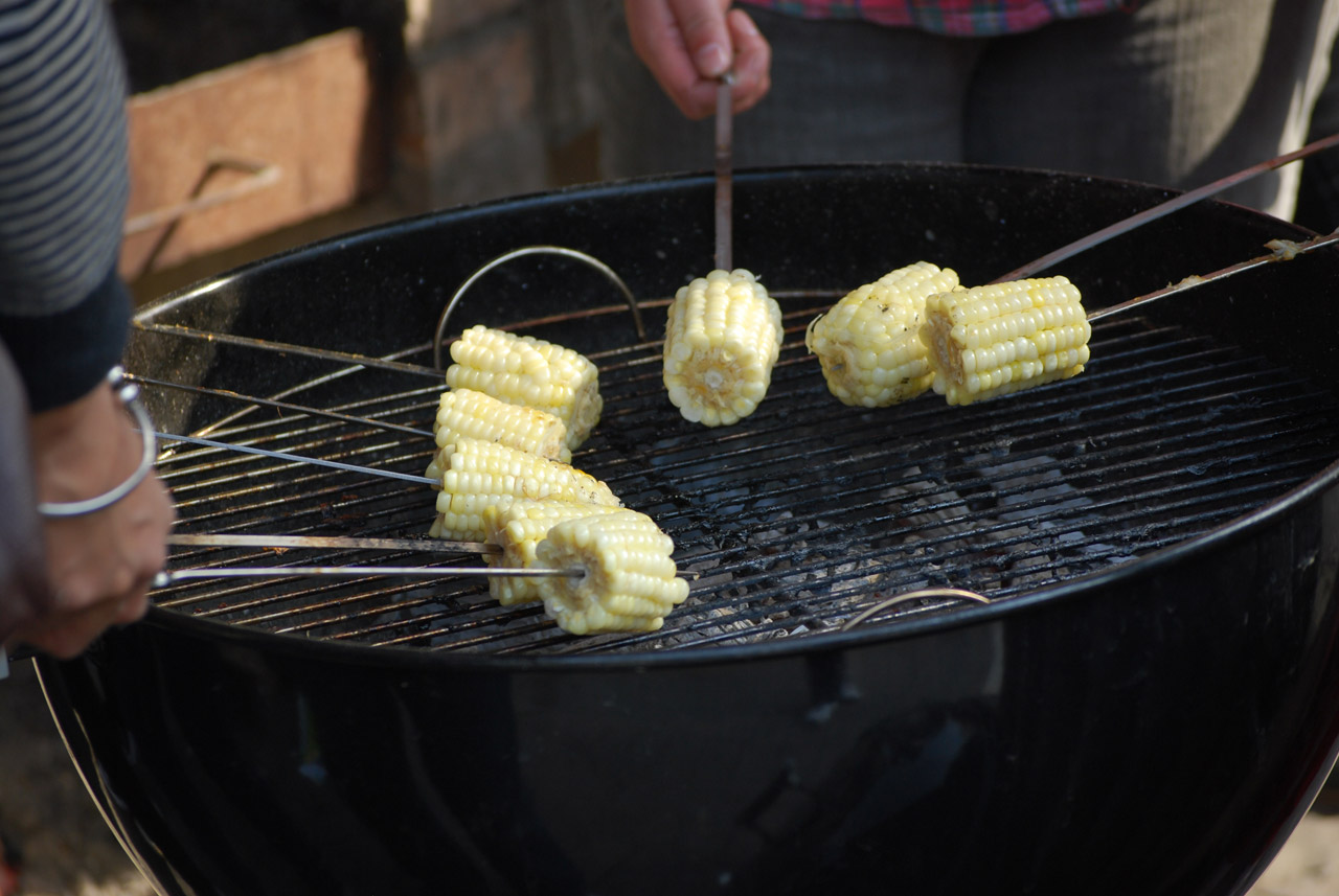 corn grill roasting free photo
