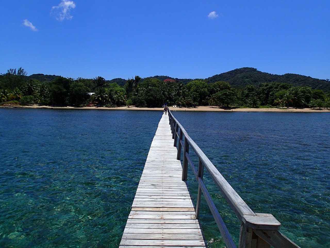 roatan jetty wooden free photo