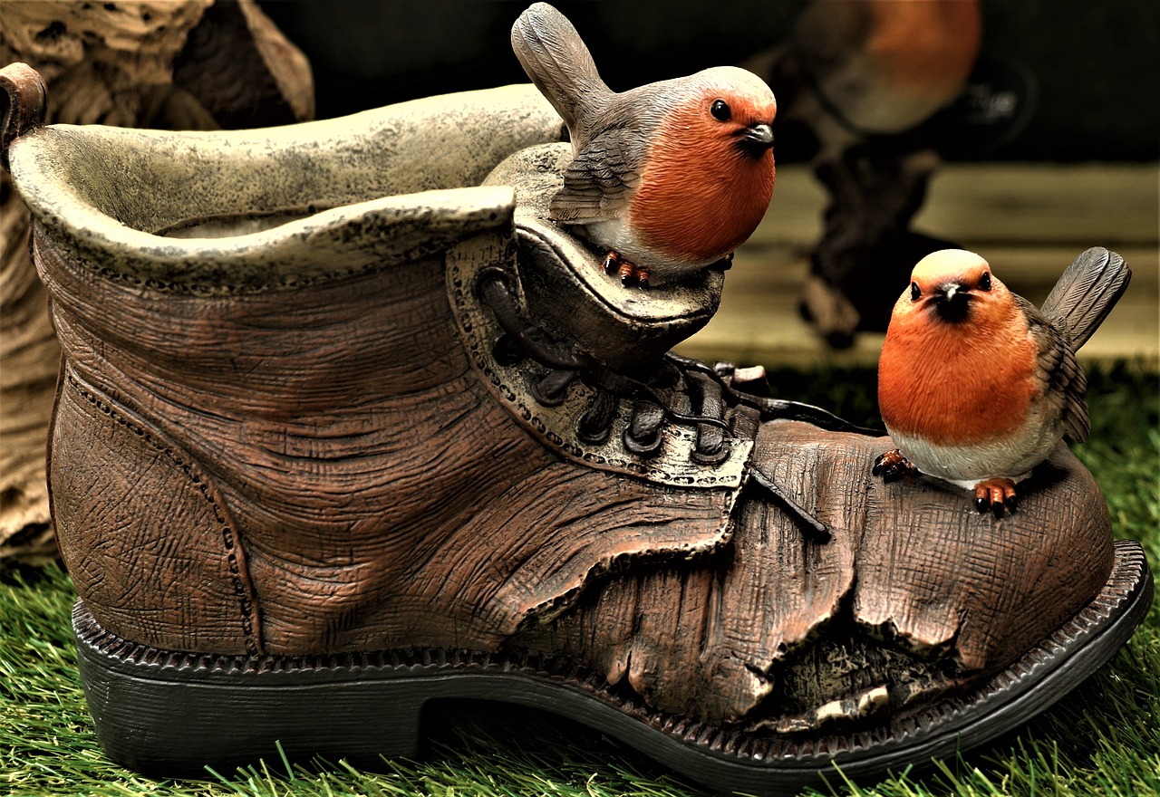 robin  shoe  boot free photo