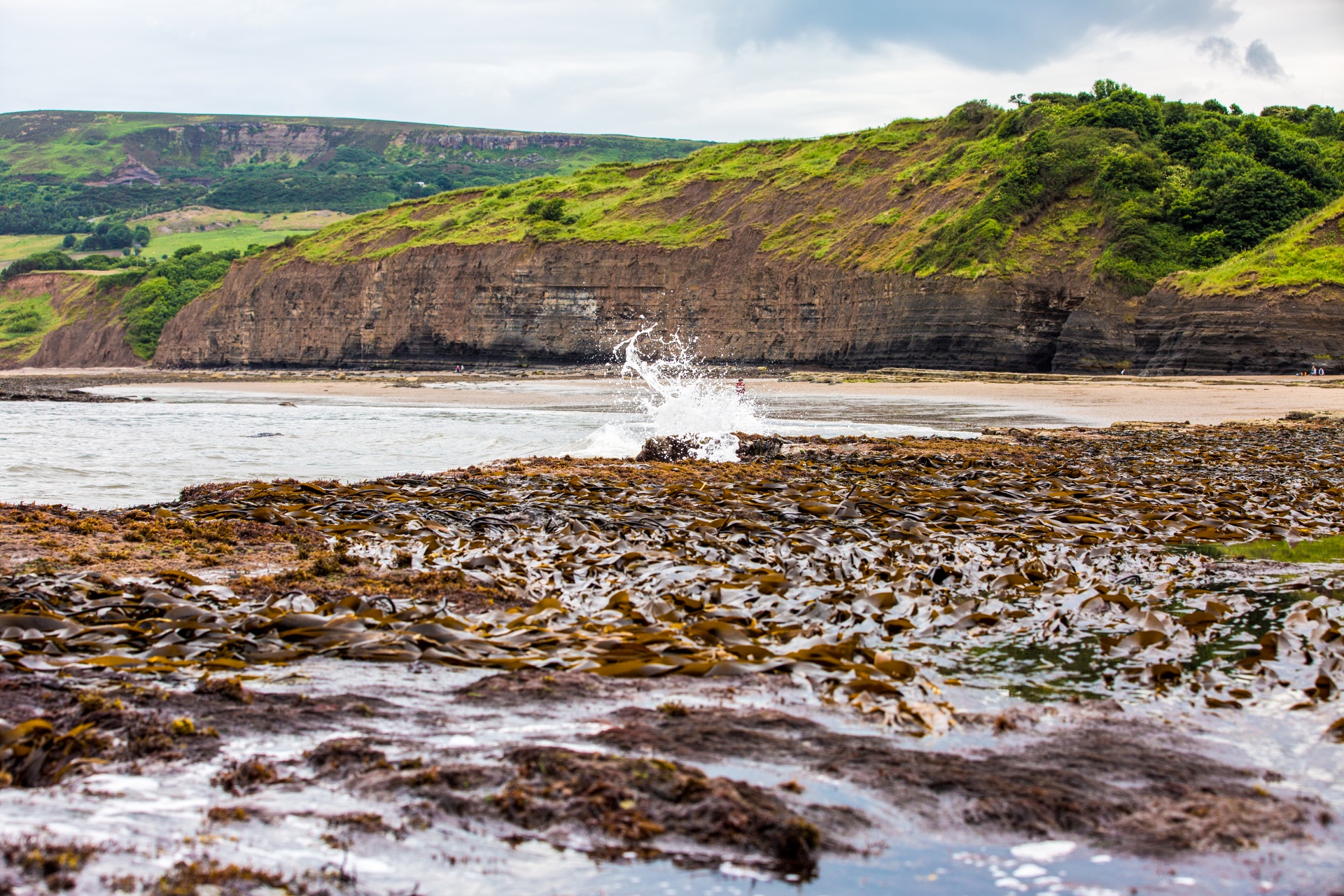 robin hoods bay free photo