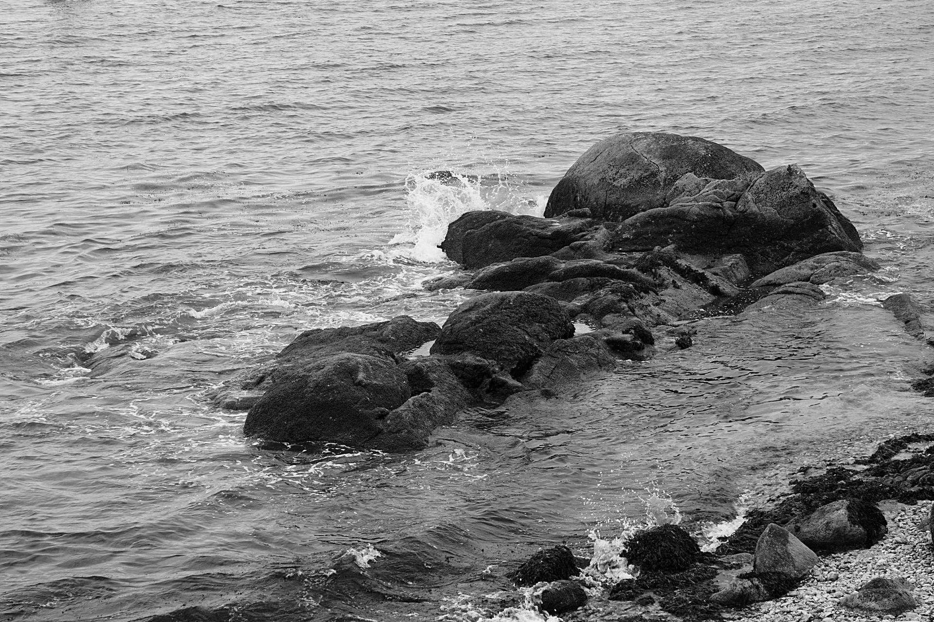 rocks sea water free photo