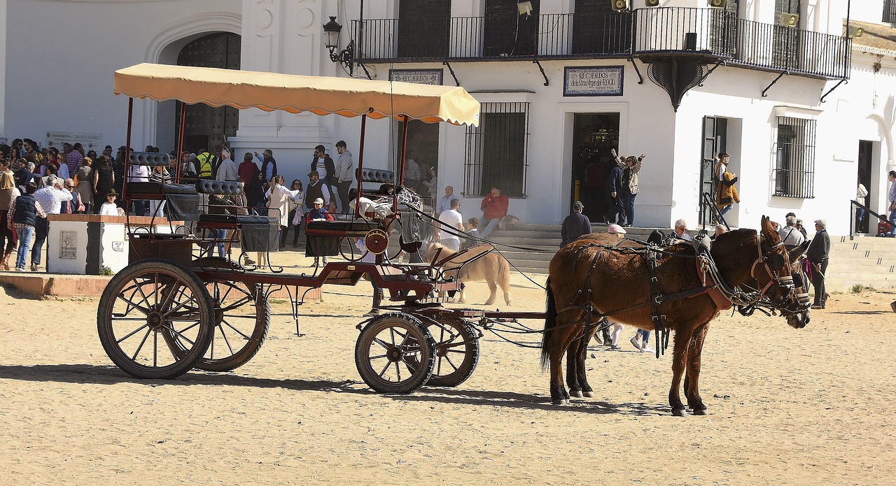 rocio  car  carriage free photo