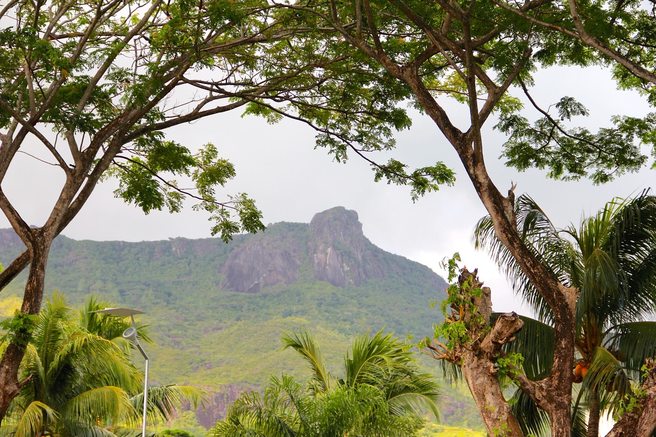 rock landscape seychelles free photo