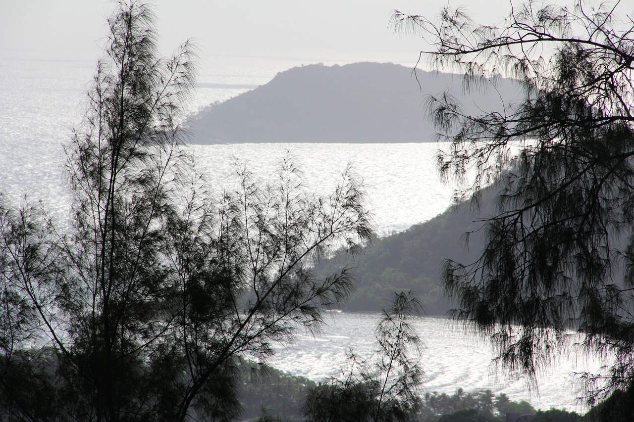 rock landscape seychelles free photo