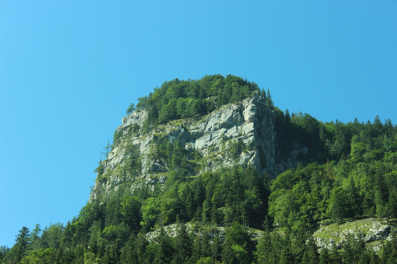 rock forest mountain free photo