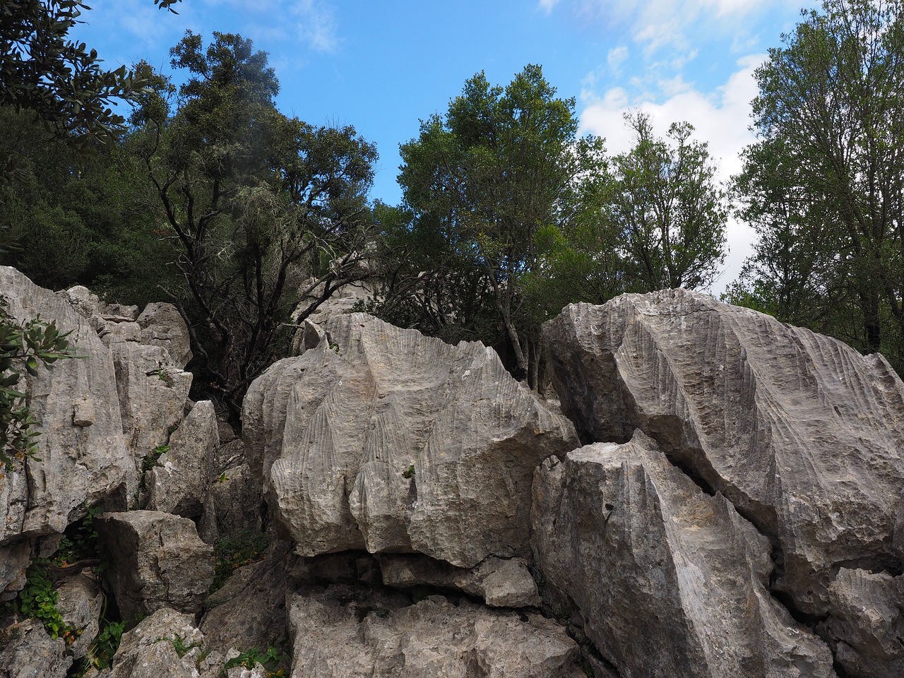 rock limestone limestone rock formations free photo