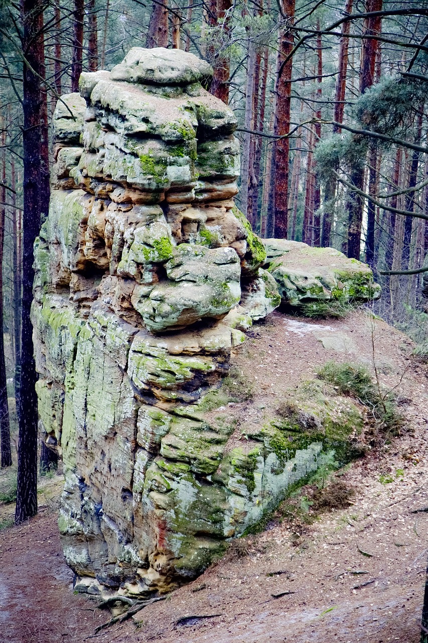 rock forest stones free photo