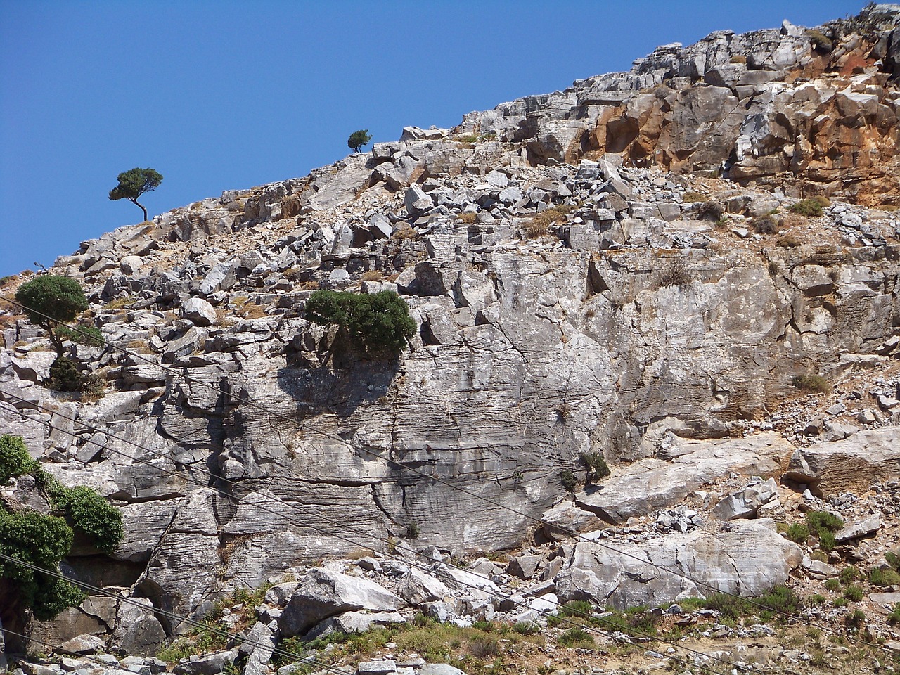 rock tree nature free photo