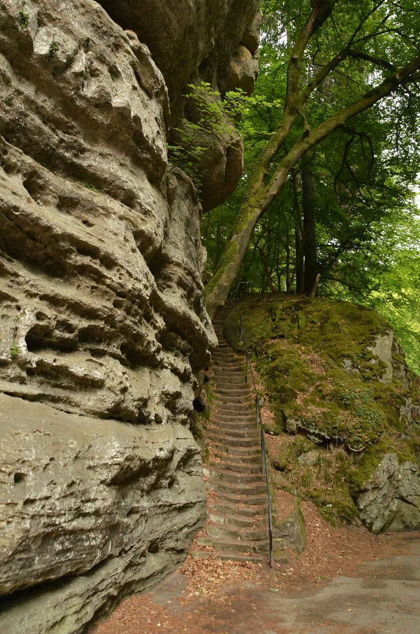 rock trap forest free photo