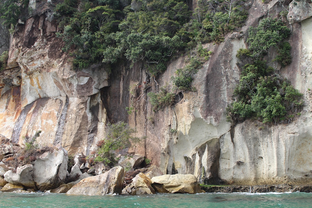 rock new zealand sea free photo