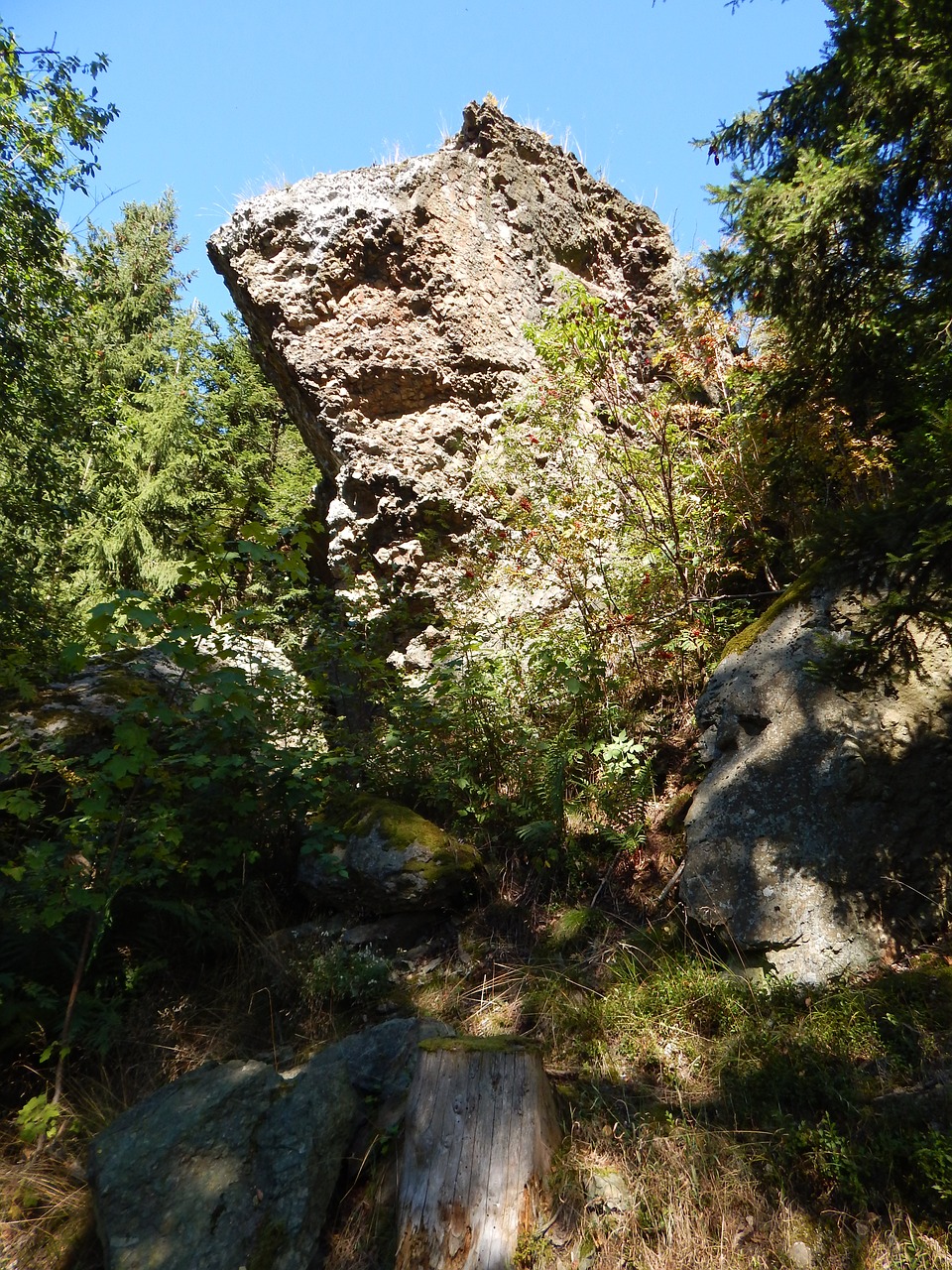 rock stone forest free photo