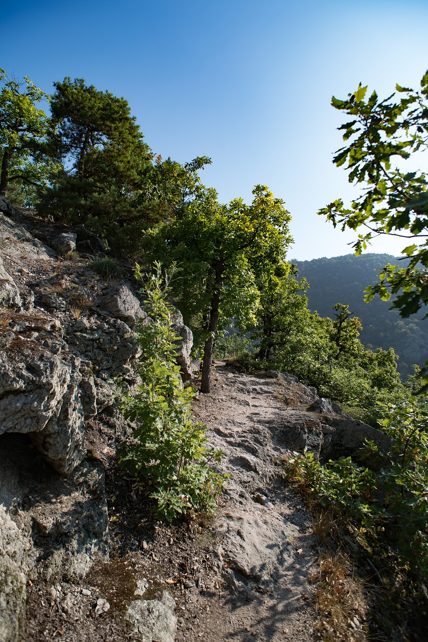 rock stones nature free photo