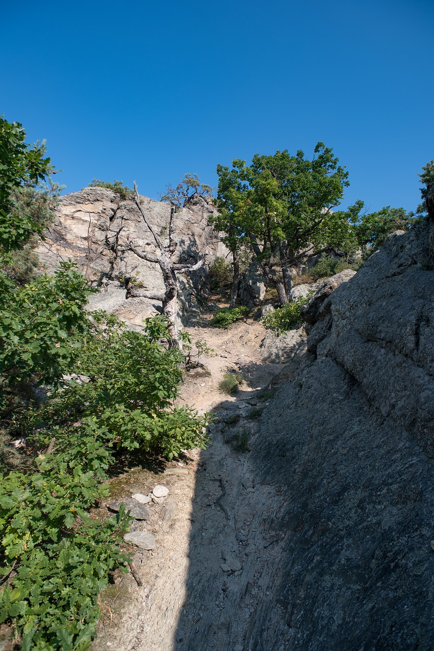 rock stones nature free photo