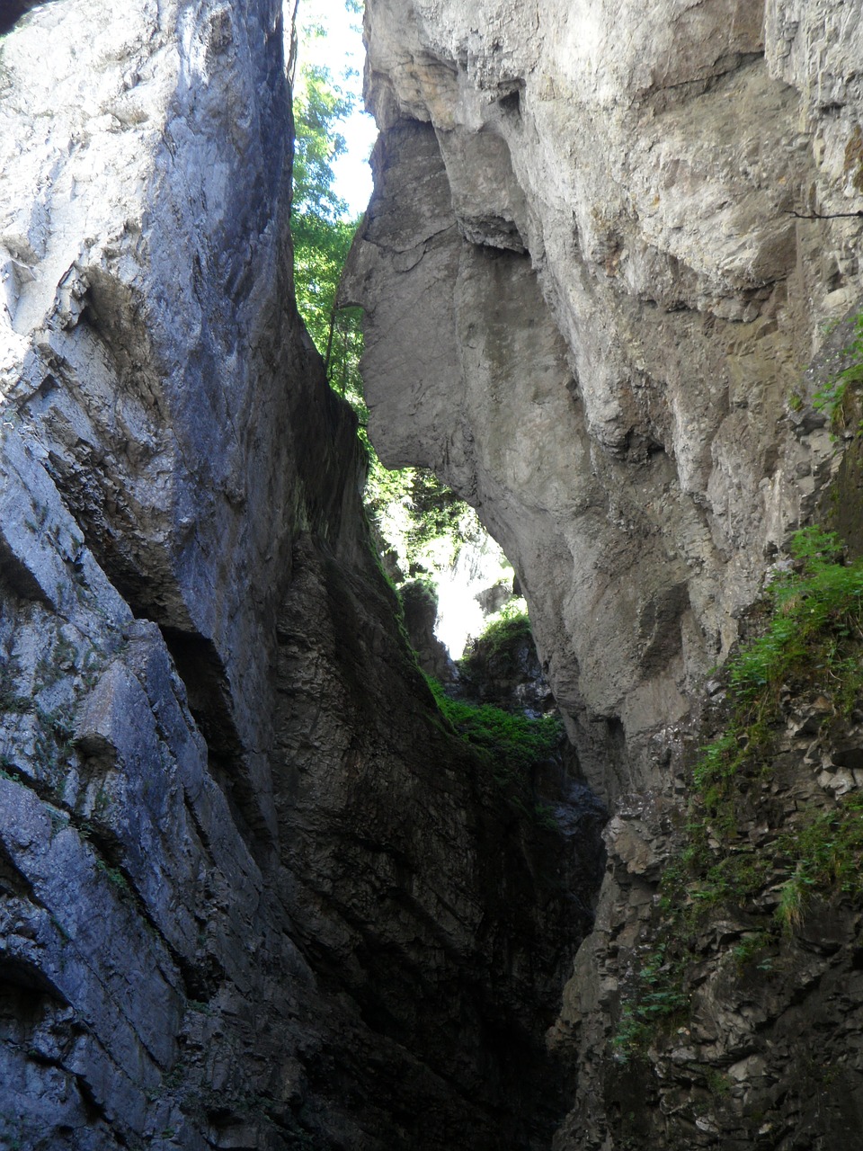 rock cliff gorge free photo