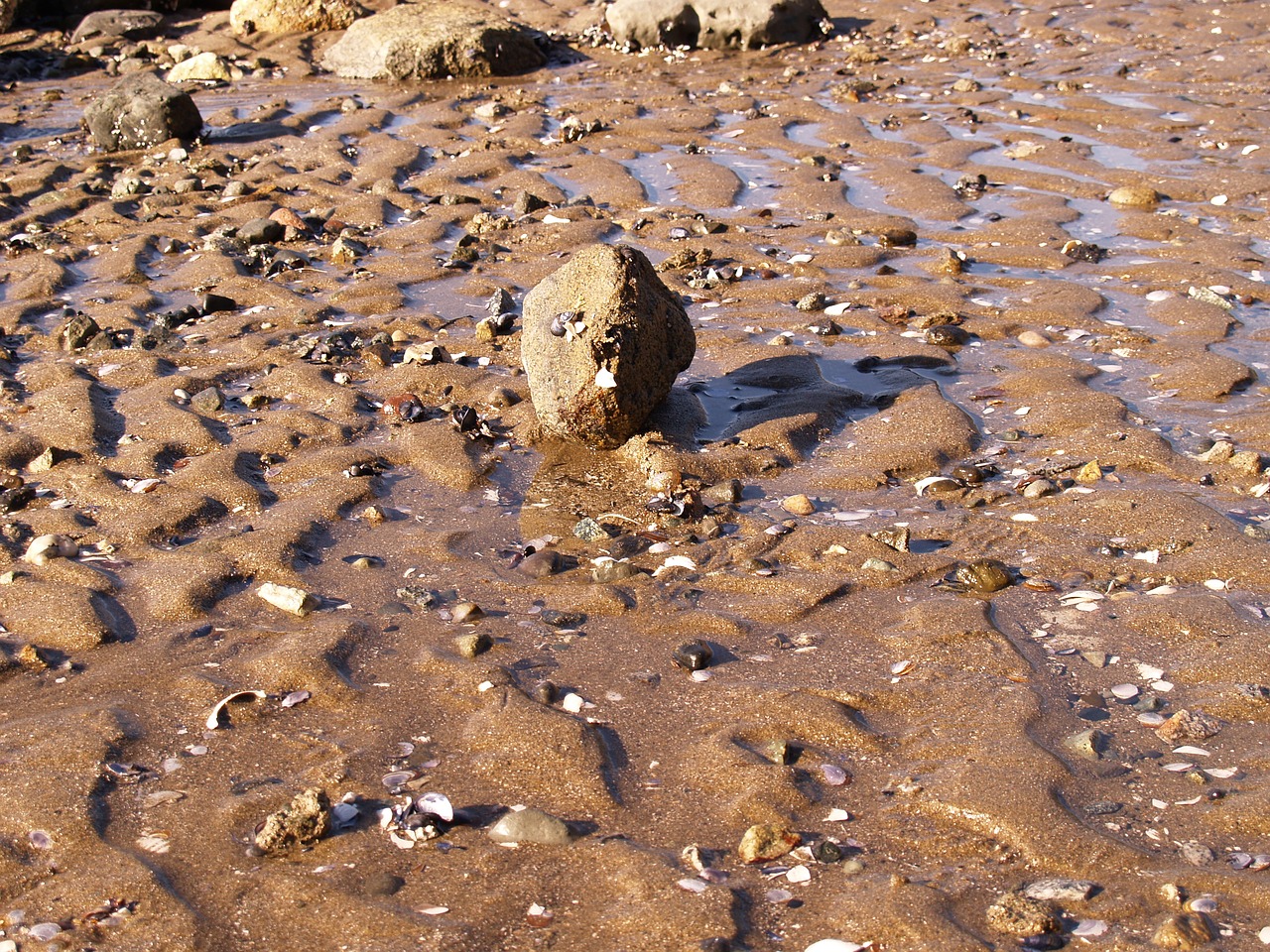 rock sand beach free photo