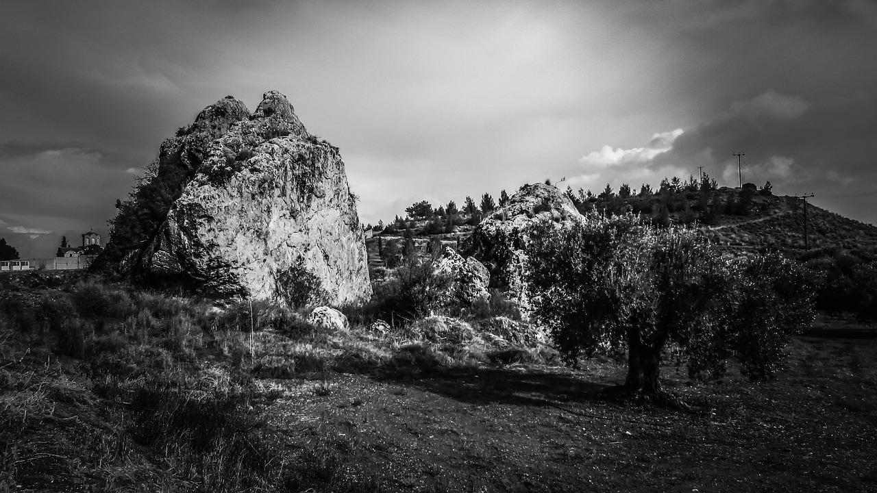 rock landscape olive trees free photo