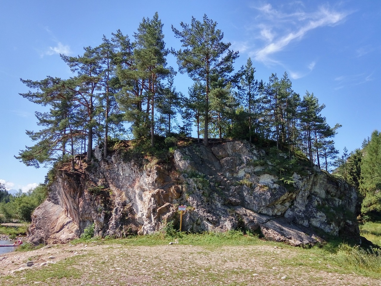 rock tree nature free photo