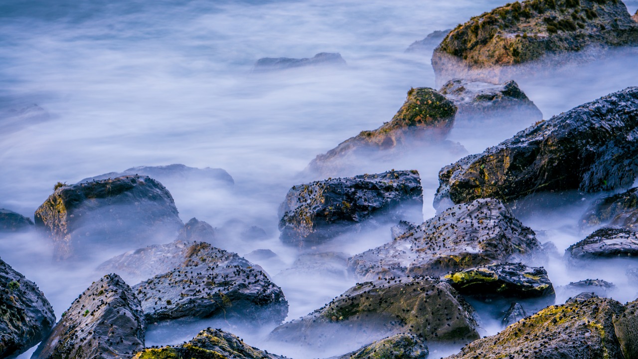 rock slow motion coral free photo