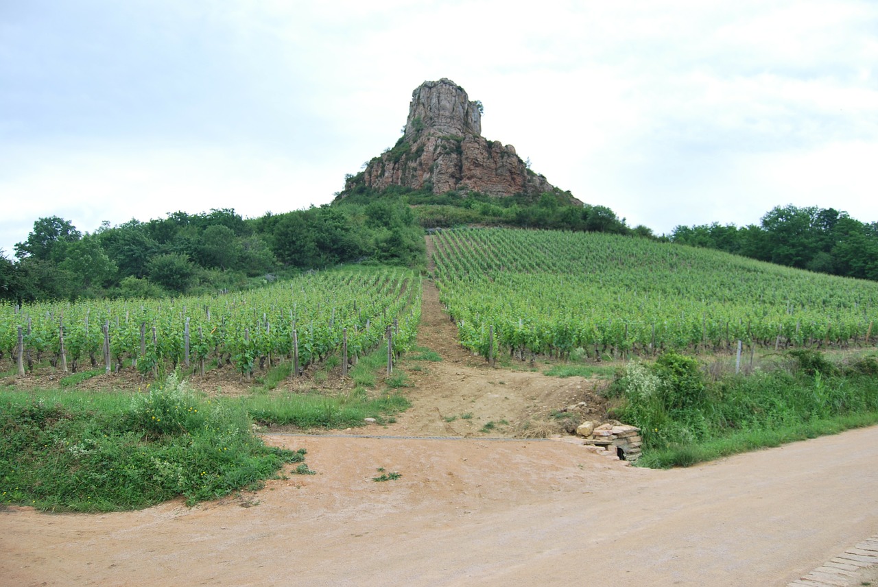 rock vineyard burgundy free photo