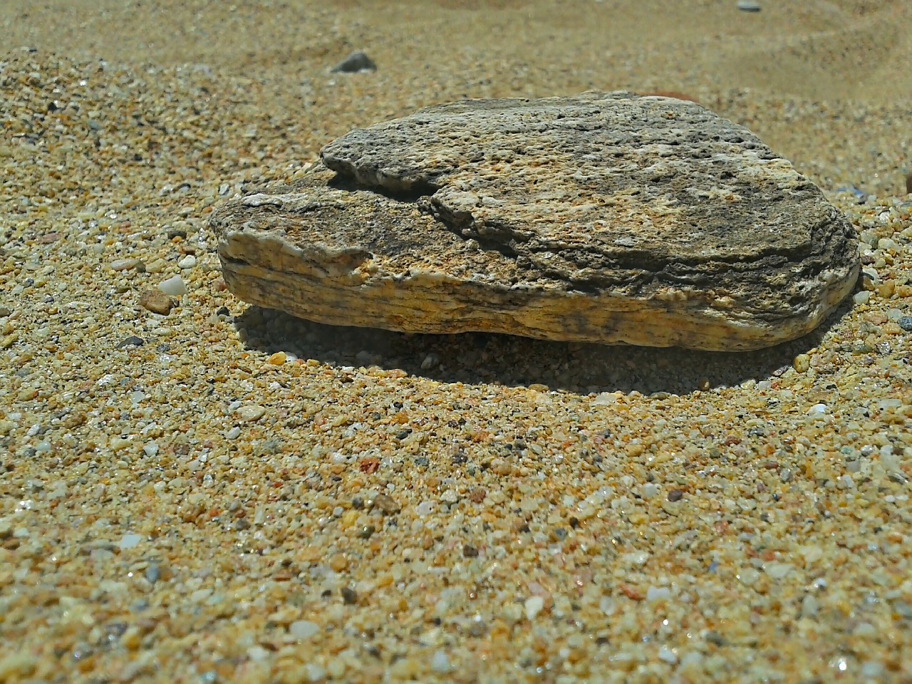 rock pebble sand free photo