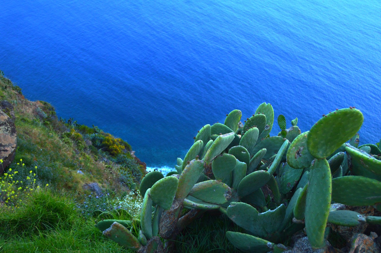 rock natur atlantic free photo