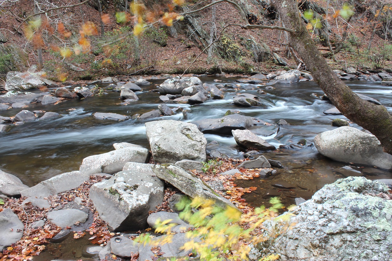 rock rocks river free photo