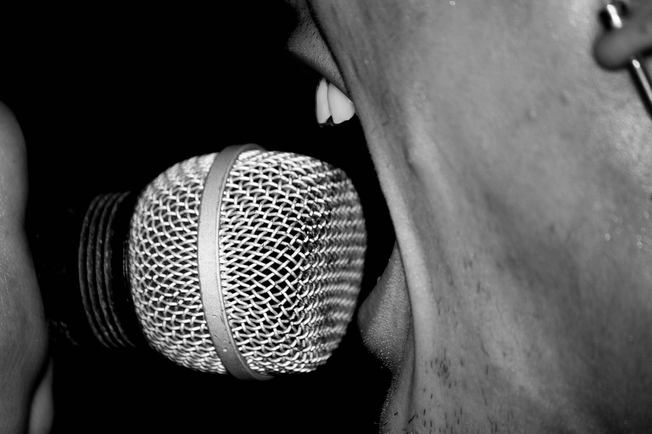 rock bar microphone free photo
