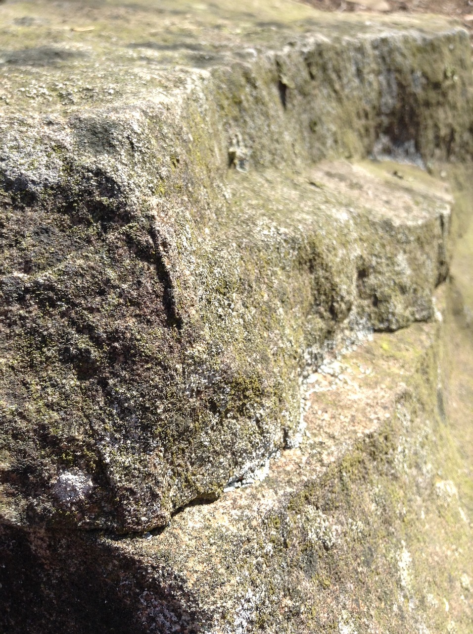 rock close up stone free photo