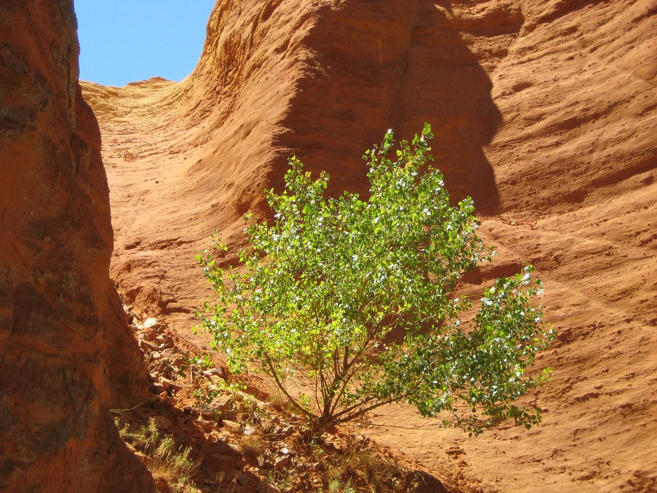 rock ocher orange free photo